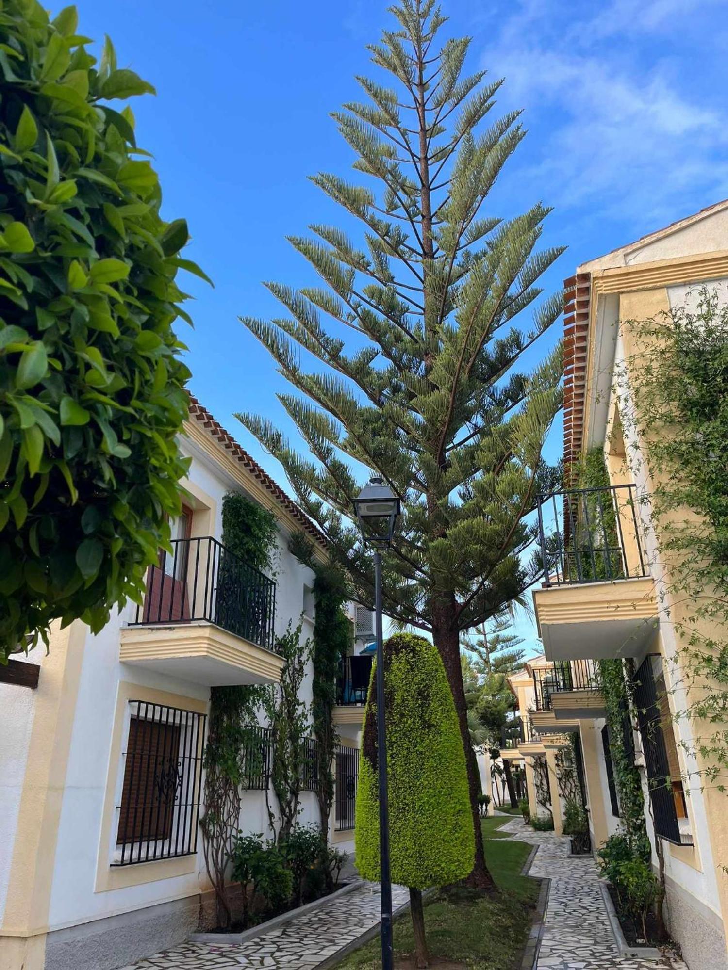 Apartamento Vera Coast 123 Playas de Vera Eksteriør bilde